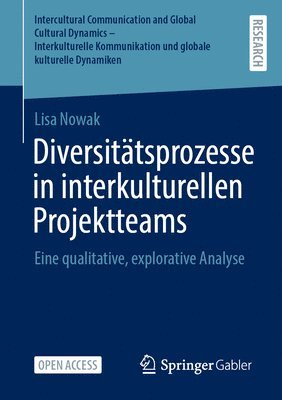 bokomslag Diversitätsprozesse in Interkulturellen Projektteams: Eine Qualitative, Explorative Analyse