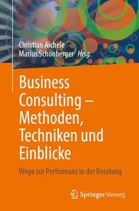 bokomslag Business Consulting - Methoden, Techniken Und Einblicke: Wege Zur Performanz in Der Beratung