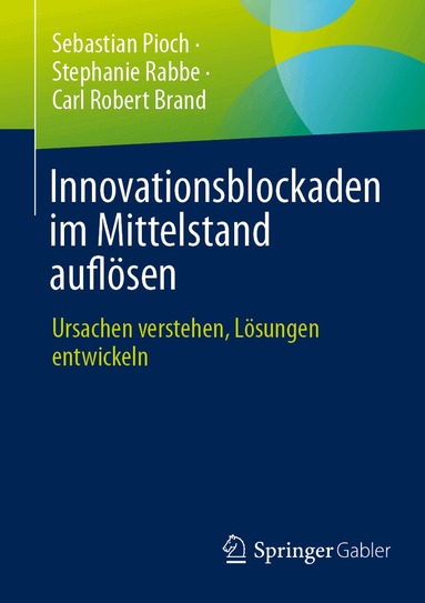 Sebastian Pioch, Stephanie Rabbe, Carl Robert Brand - Innovationsblockaden im Mittelstand auflösen, Häftad