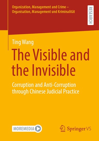 Ting Wang - Visible and the Invisible, Häftad