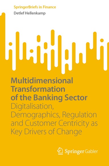 Detlef Hellenkamp - Multidimensional Transformation of the Banking Sector, Häftad