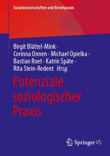Birgit Blättel-Mink, Corinna Onnen, Michael Opielka, Bastian Roet, Katrin Späte, Rita Stein-Redent - Potenziale soziologischer Praxis, Häftad