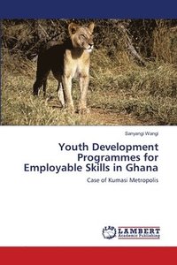 bokomslag Youth Development Programmes for Employable Skills in Ghana