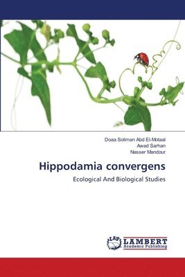 Hippodamia convergens 1