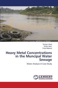 bokomslag Heavy Metal Concentrations in the Muncipal Water Sewage