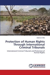 bokomslag Protection of Human Rights Through International Criminal Tribunals