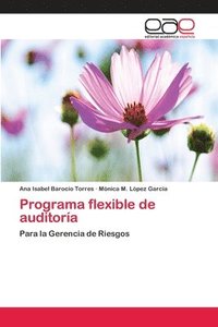 bokomslag Programa flexible de auditora