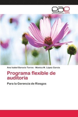 Programa flexible de auditora 1