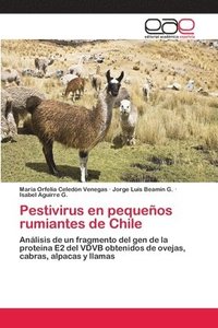 bokomslag Pestivirus en pequeos rumiantes de Chile