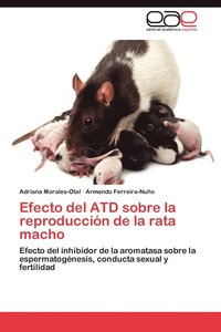 bokomslag Efecto del Atd Sobre La Reproduccion de La Rata Macho