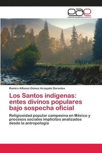 bokomslag Los Santos indgenas