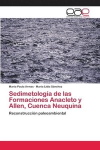 bokomslag Sedimetologa de las Formaciones Anacleto y Allen, Cuenca Neuquina