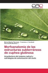 bokomslag Morfoanatoma de las estructuras subterrneas de cuphea glutinosa