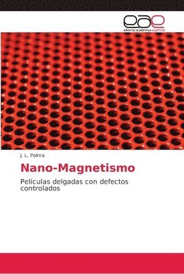 bokomslag Nano-Magnetismo