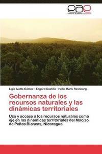 bokomslag Gobernanza de Los Recursos Naturales y Las Dinamicas Territoriales
