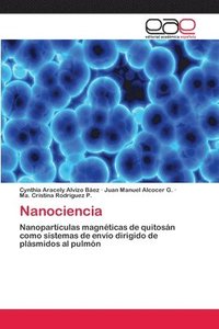 bokomslag Nanociencia