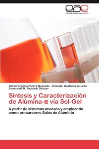 bokomslag Sintesis y Caracterizacion de Alumina- Via Sol-Gel
