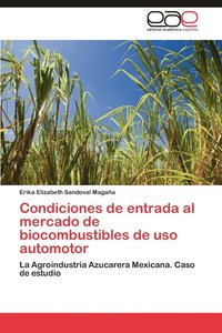 bokomslag Condiciones de Entrada Al Mercado de Biocombustibles de USO Automotor
