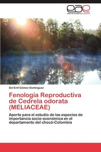 bokomslag Fenologia Reproductiva de Cedrela Odorata (Meliaceae)