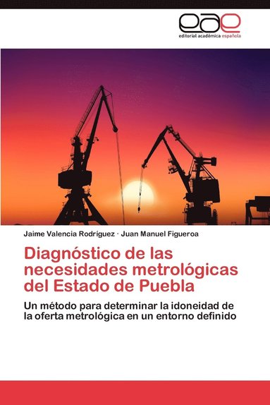 bokomslag Diagnostico de Las Necesidades Metrologicas del Estado de Puebla