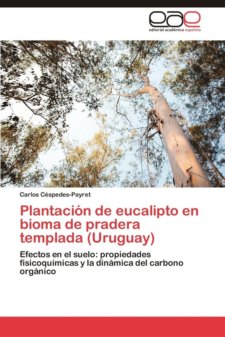 Plantacion de Eucalipto En Bioma de Pradera Templada (Uruguay) 1