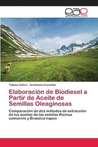 bokomslag Elaboracin de Biodiesel a Partir de Aceite de Semillas Oleaginosas