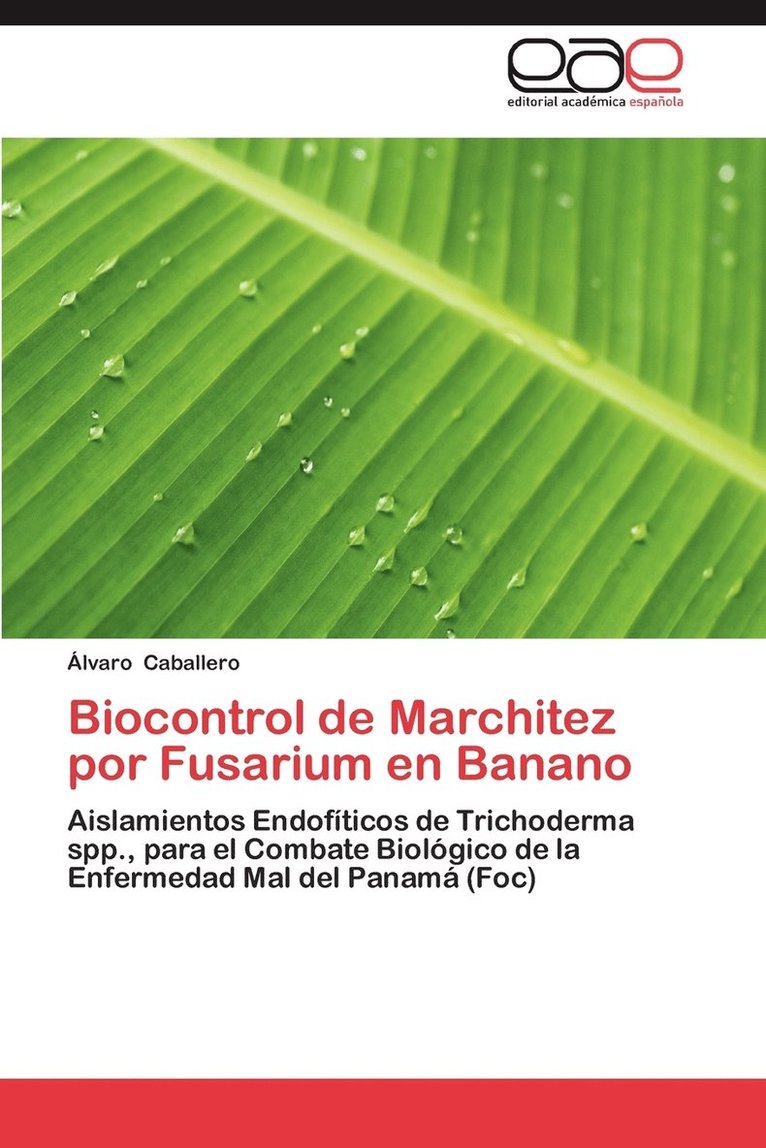 Biocontrol de Marchitez Por Fusarium En Banano 1