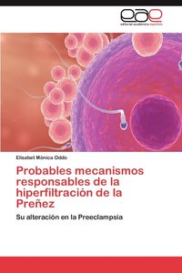 bokomslag Probables Mecanismos Responsables de La Hiperfiltracion de La Prenez