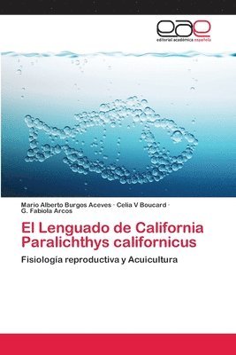 El Lenguado de California Paralichthys californicus 1