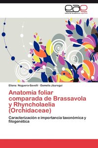 bokomslag Anatomia Foliar Comparada de Brassavola y Rhyncholaelia (Orchidaceae)