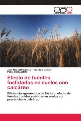 bokomslag Efecto de fuentes fosfatadas en suelos con calcreo