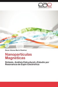 bokomslag Nanoparticulas Magneticas
