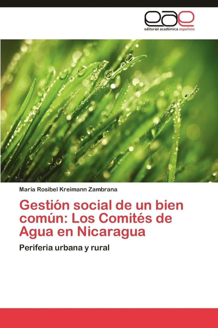 Gestion Social de Un Bien Comun 1