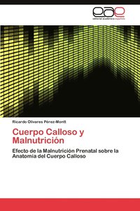 bokomslag Cuerpo Calloso y Malnutricion