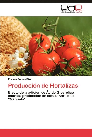 bokomslag Produccion de Hortalizas