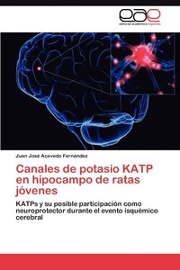 bokomslag Canales de Potasio Katp En Hipocampo de Ratas Jovenes
