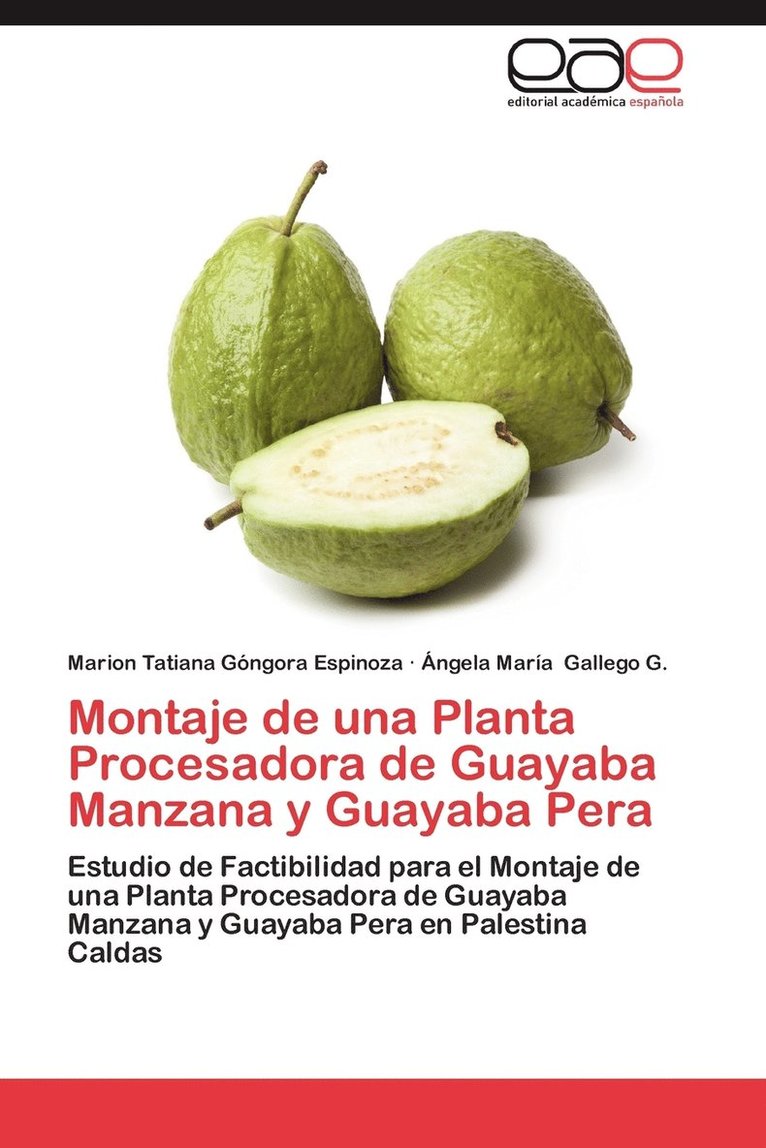Montaje de Una Planta Procesadora de Guayaba Manzana y Guayaba Pera 1