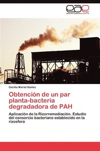 bokomslag Obtencion de Un Par Planta-Bacteria Degradadora de Pah