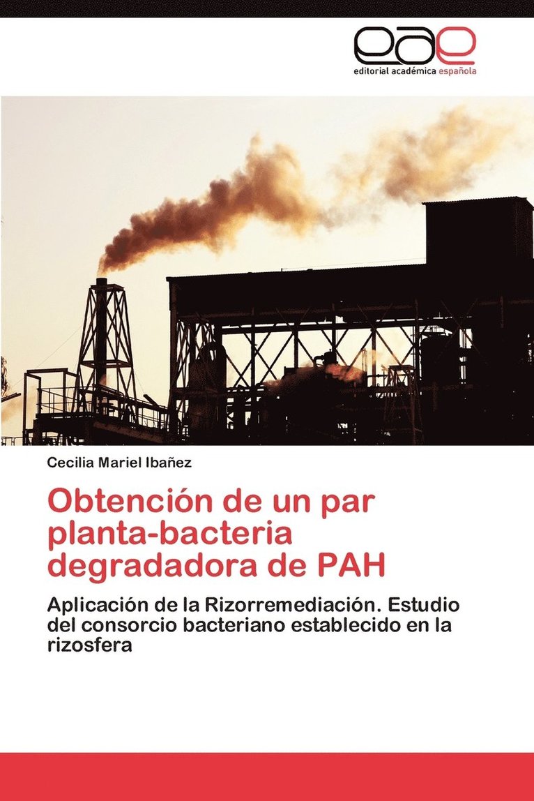 Obtencion de Un Par Planta-Bacteria Degradadora de Pah 1