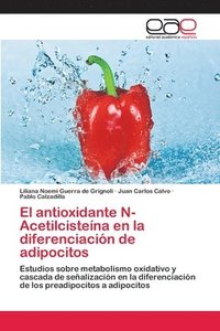 bokomslag El antioxidante N-Acetilcistena en la diferenciacin de adipocitos