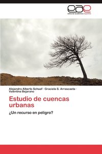 bokomslag Estudio de Cuencas Urbanas