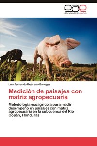 bokomslag Medicion de Paisajes Con Matriz Agropecuaria