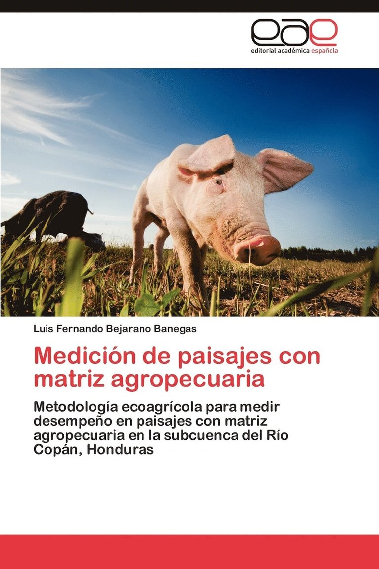 Medicion de Paisajes Con Matriz Agropecuaria 1