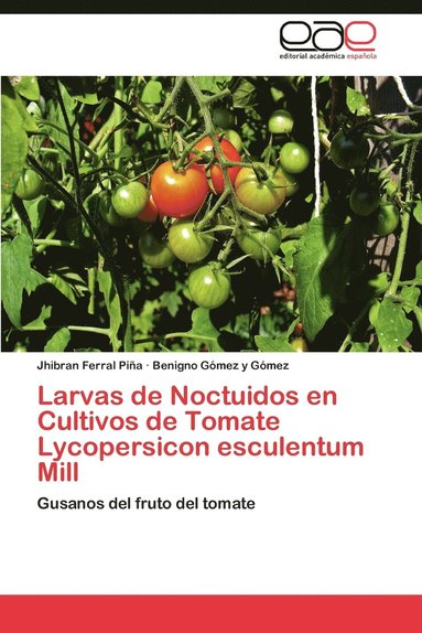 bokomslag Larvas de Noctuidos En Cultivos de Tomate Lycopersicon Esculentum Mill