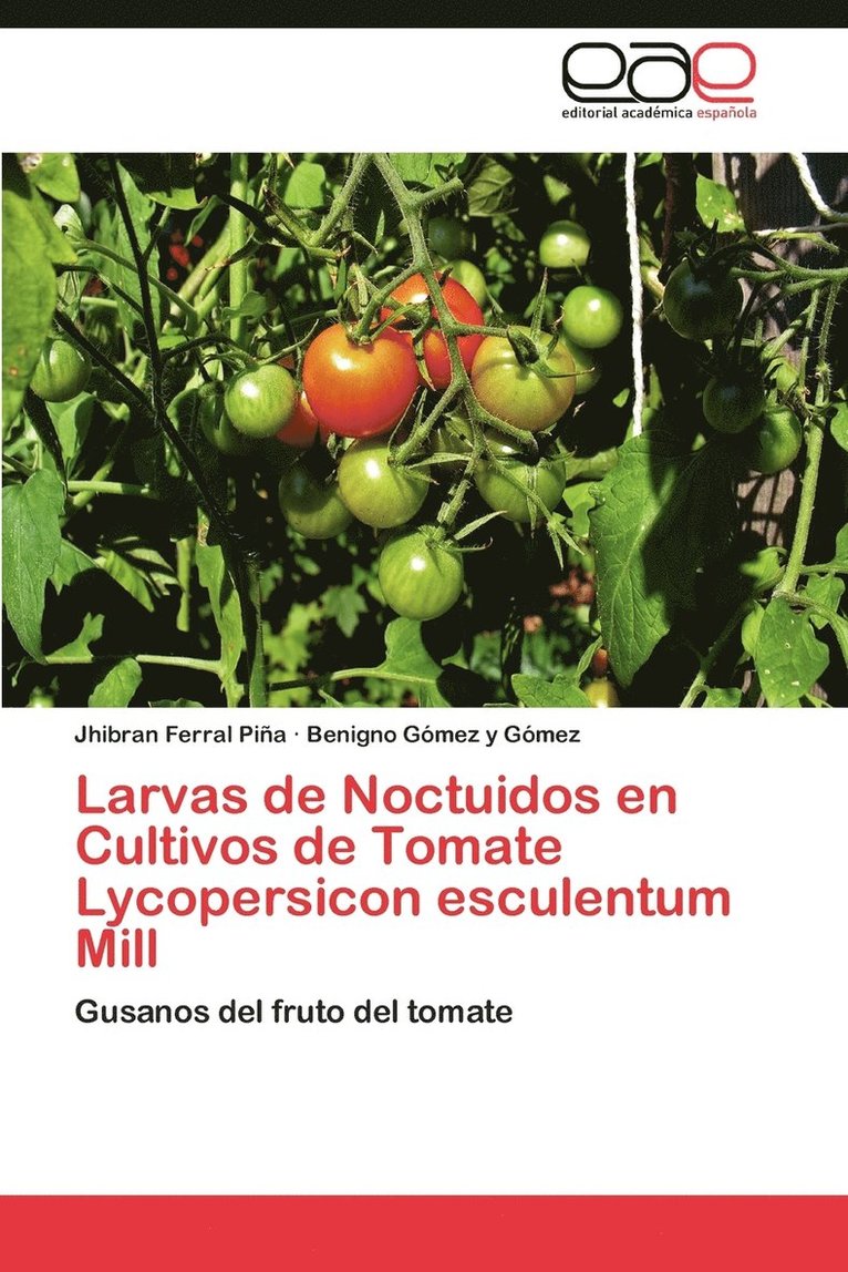 Larvas de Noctuidos En Cultivos de Tomate Lycopersicon Esculentum Mill 1