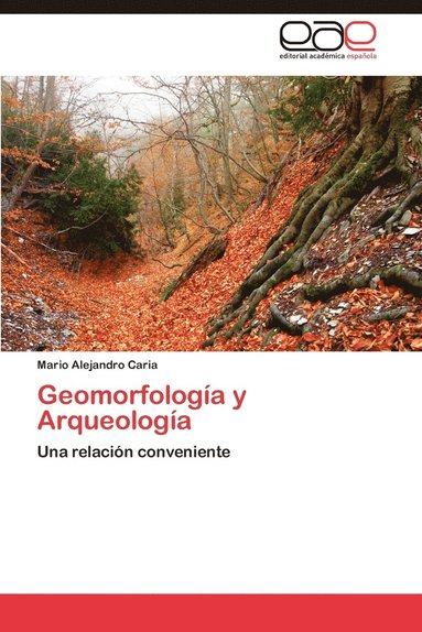 bokomslag Geomorfologia y Arqueologia