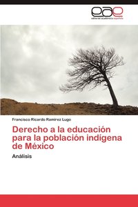 bokomslag Derecho a la Educacion Para La Poblacion Indigena de Mexico