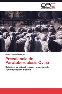 bokomslag Prevalencia de Paratuberculosis Ovina