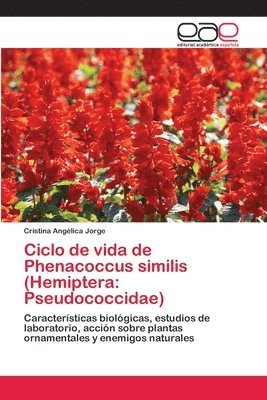 Ciclo de vida de Phenacoccus similis (Hemiptera 1