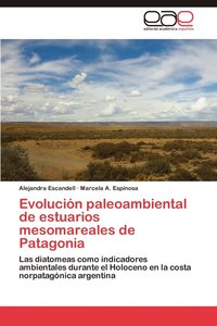 bokomslag Evolucion Paleoambiental de Estuarios Mesomareales de Patagonia